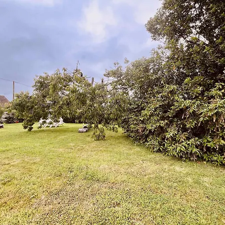 Holiday home Le Cerisier - *